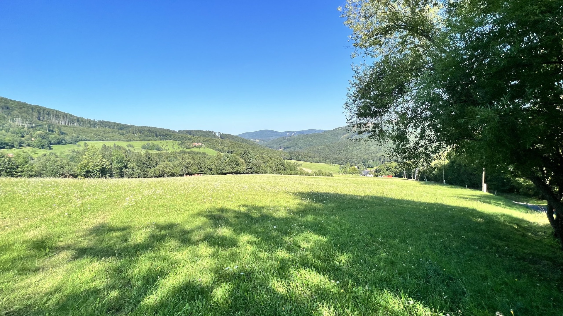 Prodej stavebního pozemku 5 950 m2, pastviny, lokalita Chmelinec, Vyškovec, Bílé Karpaty