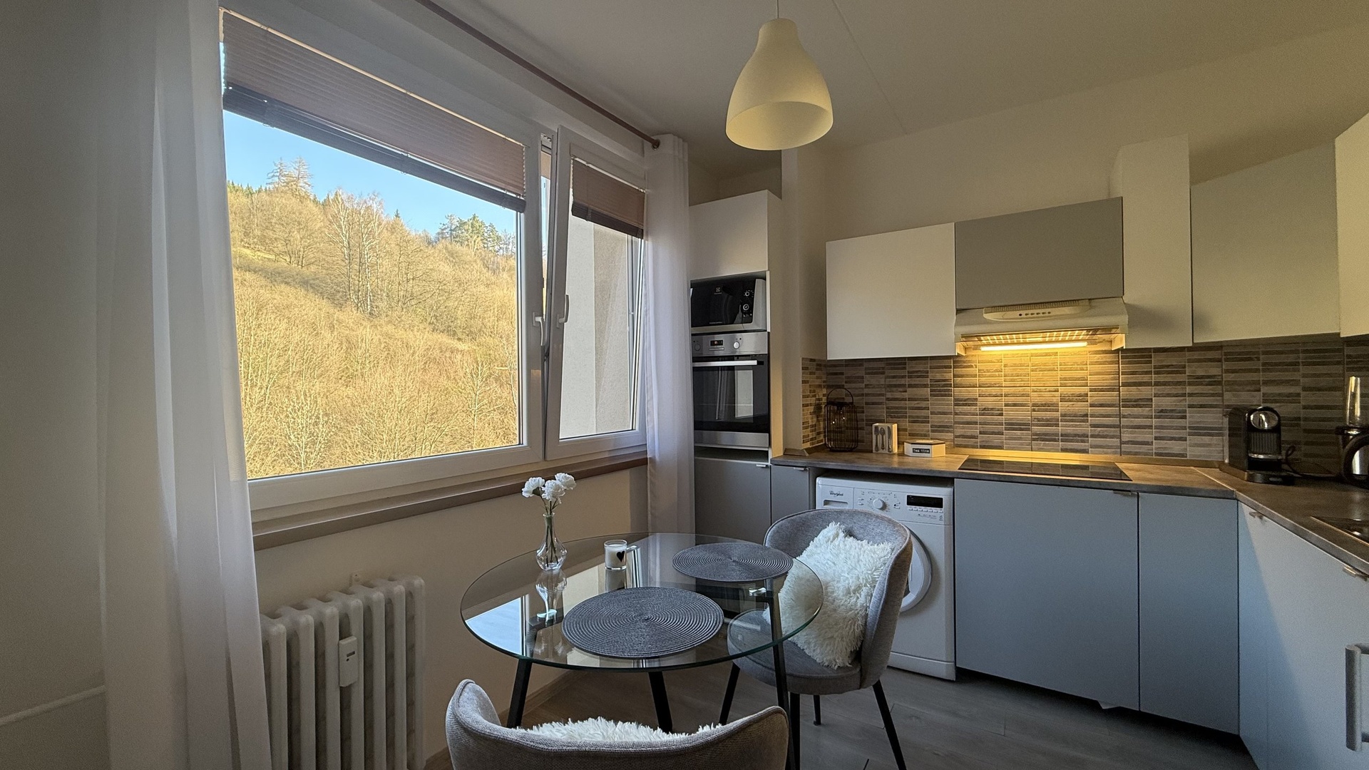 Pronájem zrekonstruovaného bytu 1+1, 31 m2, lodžie, sklep, Dolní Jasenka, Vsetín