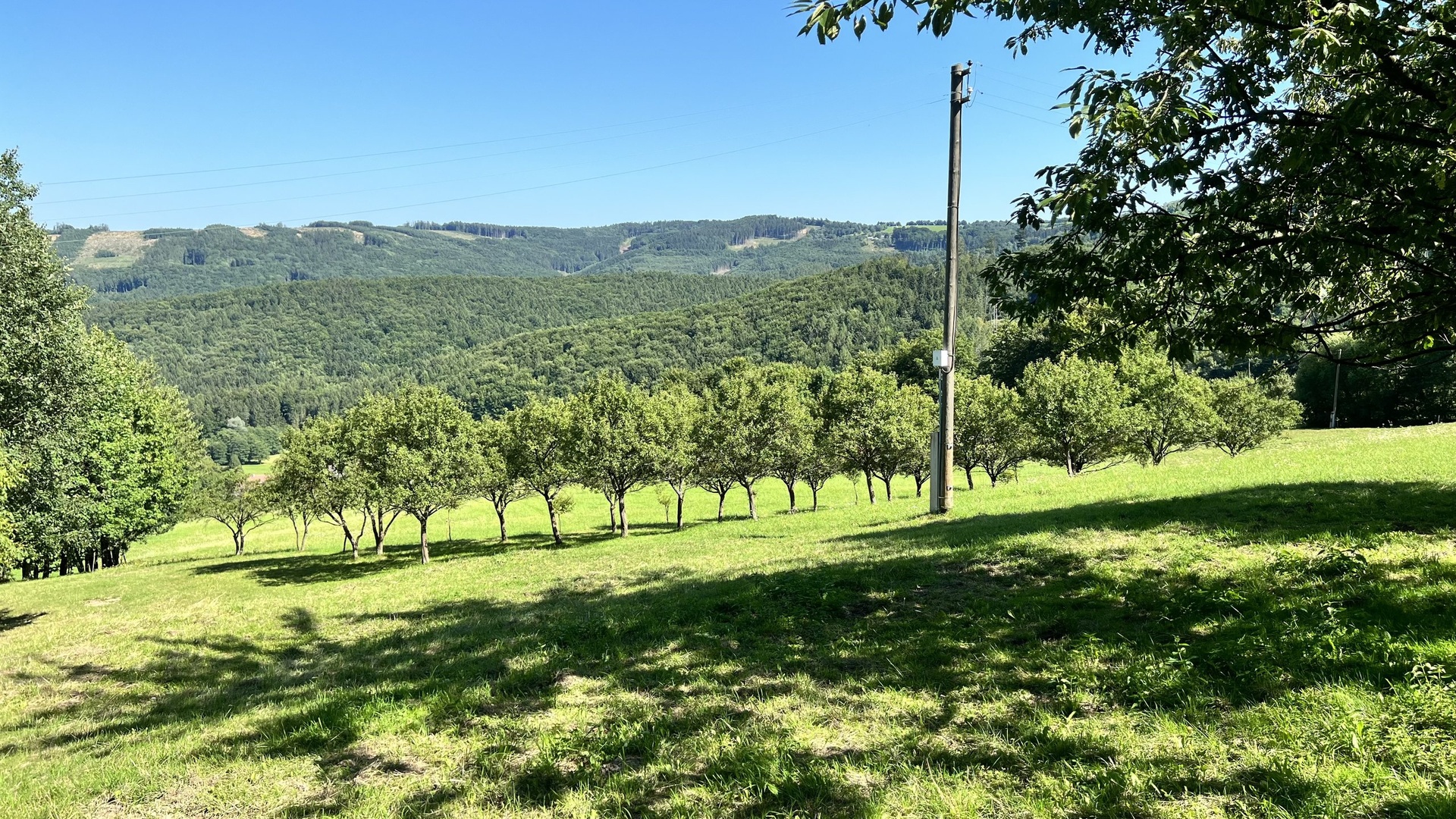 Prodej stavebního pozemku 5 950 m2, pastviny, lokalita Chmelinec, Vyškovec, Bílé Karpaty