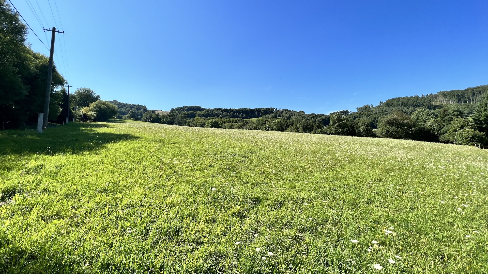 Prodej stavebního pozemku 5 950 m2, pastviny, lokalita Chmelinec, Vyškovec, Bílé Karpaty