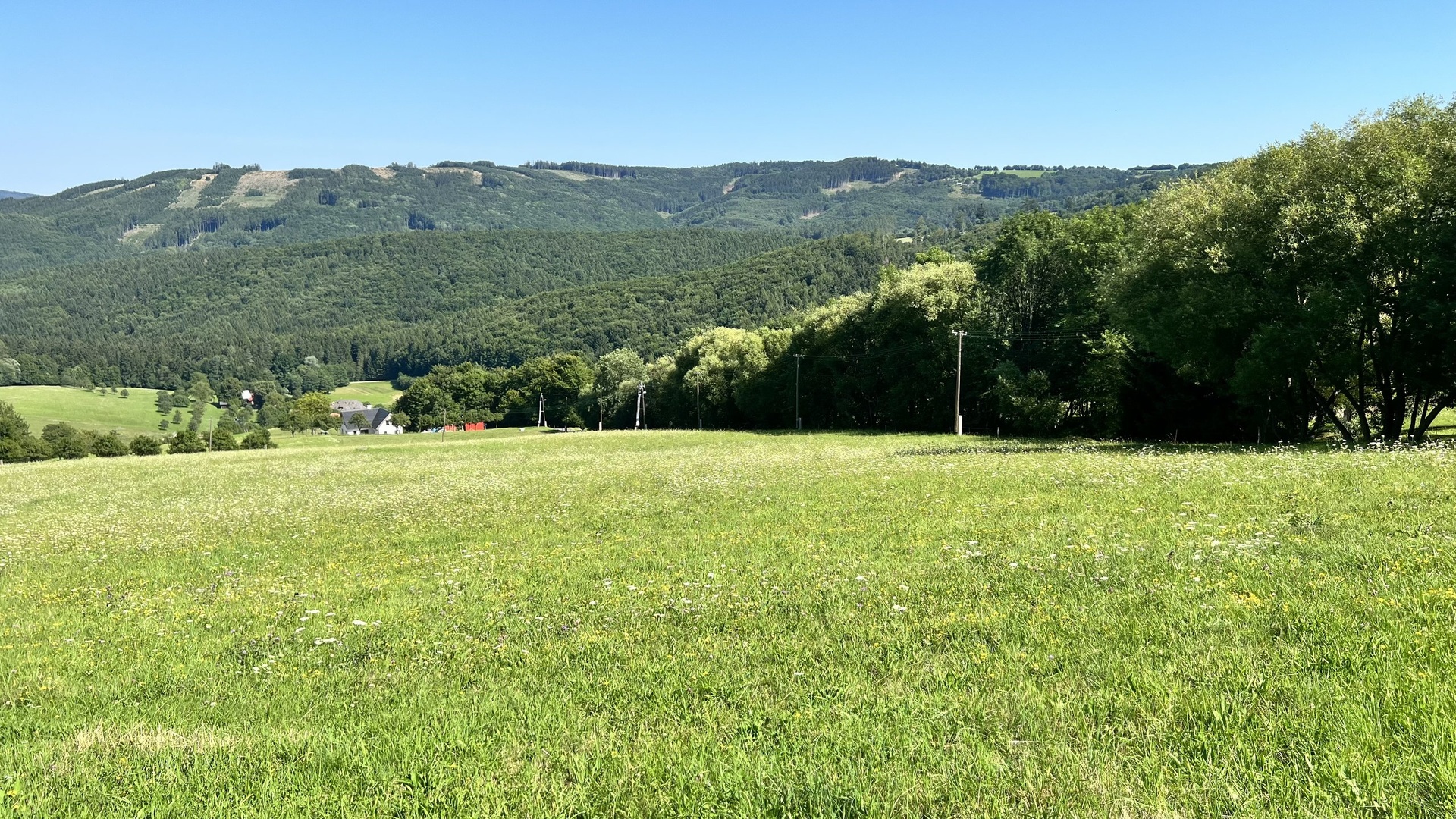 Prodej stavebního pozemku 5 950 m2, pastviny, lokalita Chmelinec, Vyškovec, Bílé Karpaty