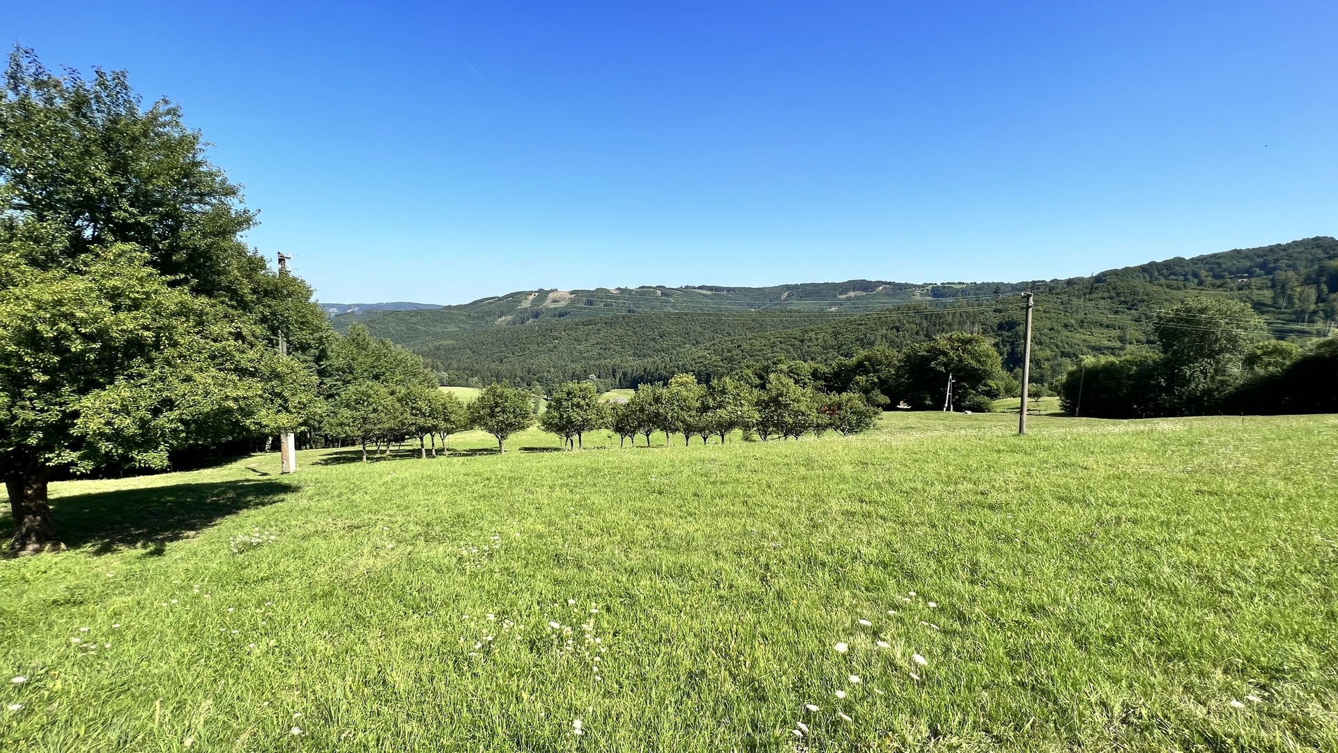 Prodej stavebního pozemku 5 950 m2, pastviny, lokalita Chmelinec, Vyškovec, Bílé Karpaty